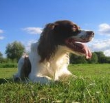 click for a larger view